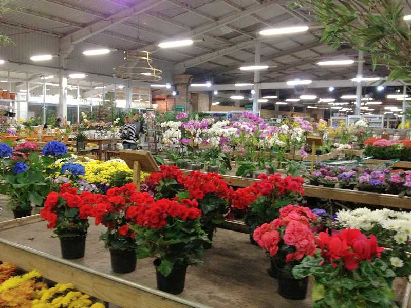 Primavera Garden adota os produtos de limpeza ecológicos Simple Clean